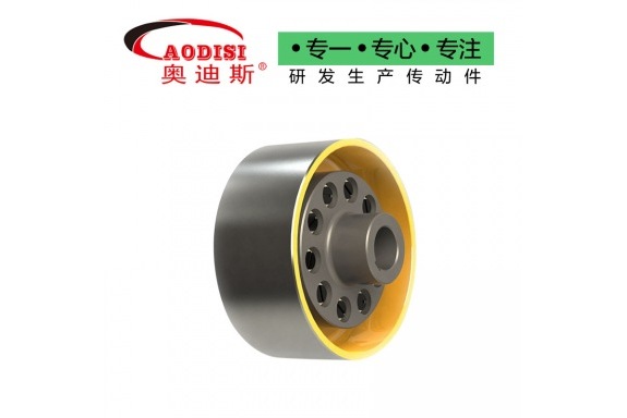 AODISI TLL型帶製動輪彈性套柱銷聯軸器
