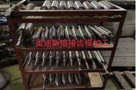 齒模模具CNC加工 AODISI